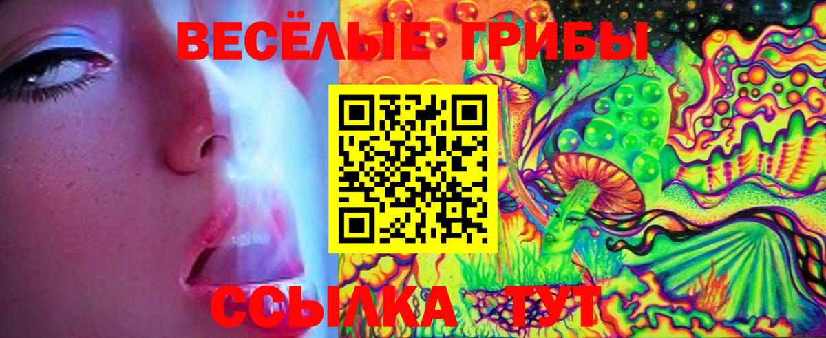 Псилоцибиновые грибы мицелий Кунгур