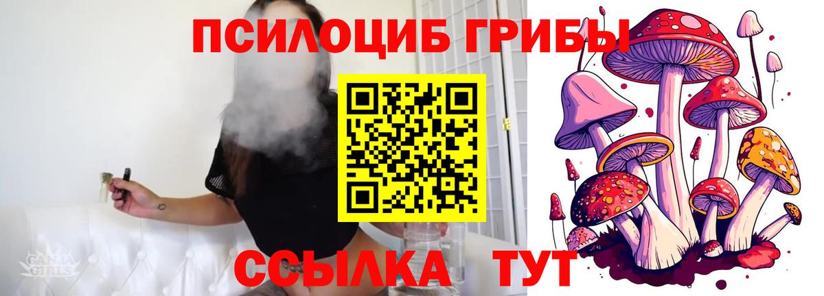 где продают   Галлюциногенные грибы ЛСД  Вход с VPN  Кунгур 